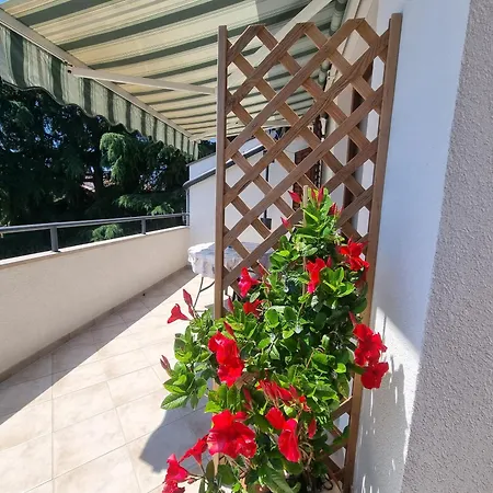 Buterer Rovinj